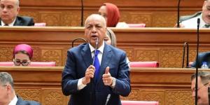 بكري: أغلبية نيابية مصرية تؤيد تفويض السيسي لدعم السعودية دفاعياً