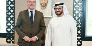 قرقاش يلتقي وفداً برلمانياً ألمانياً
