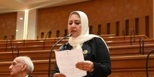 النائبة سحر صدقي: منتدى مصر 2026 فرصة لصياغة رؤية وطنية تدعم الاقتصاد والاستثمار :اليوم السابع