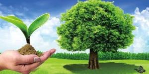 بعد إعلان الوزير استراتيجية الزراعة.. خبراء: تحقيق الأمن الغذائي يتطلب تحسين كفاءة استخدام الأرض والمياه