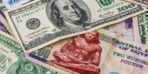 استقرار سعر الدولار مقابل الجنيه في بداية تعاملات اليوم الأربعاء :اليوم السابع