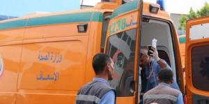 مصرع شخص وإصابة 6 آخرين في انقلاب سيارة ربع نقل بطريق أبو سمبل باسوان