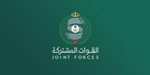 دعم الشرعية: ‏اعتراض وتدمير صاروخ باليستي حوثي باتجاه نجران في السعودية :اليوم السابع