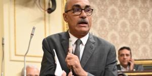 النائب إيهاب منصور: غرامات عدم الإعلان عن الأسعار تصل لـ 500 ألف جنيه وتطبيقها يحتاج مراقبين