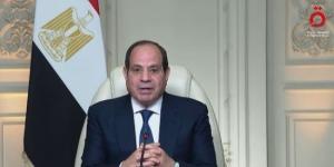 فخامة الرئيس السيسى: نحترم ونقدر حق جميع دول حوض النيل فى التنمية :اليوم السابع