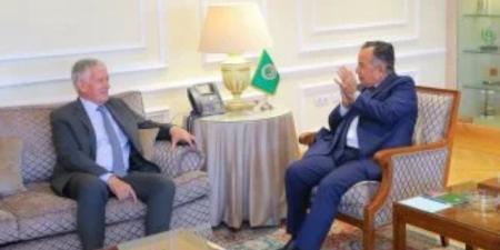 نبيل فهمي يبحث مع المبعوث الفرنسي دعم الدولة الفلسطينية