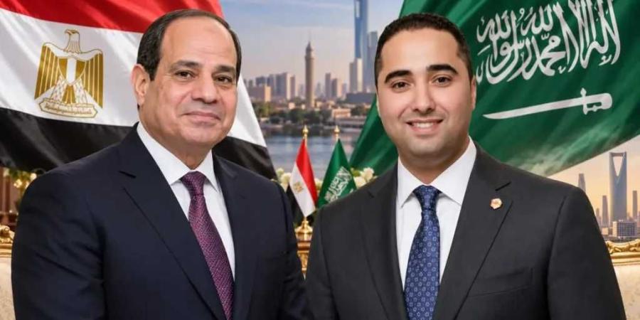 أستاذ قانون دولي: نصوص ثلاث تُجيز لمصر الدفاع عن السعودية