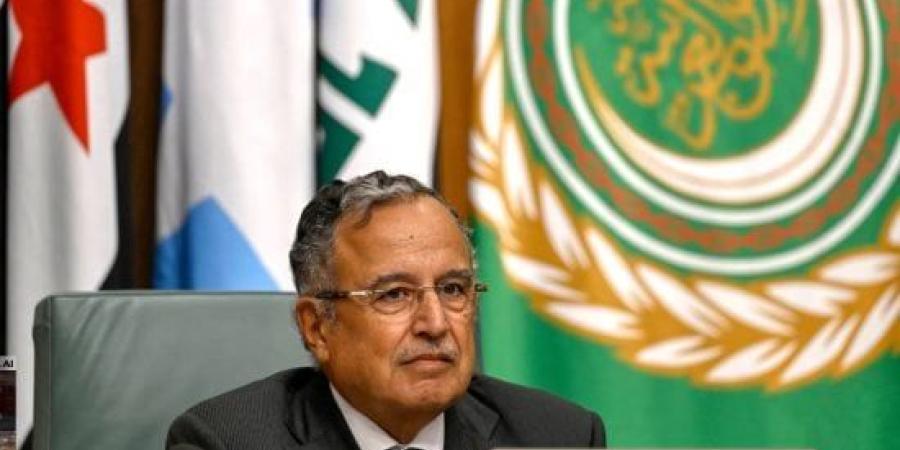 أمين عام الجامعة العربية يقوم بجولة ميدانية فى بلدة زوطر الغربية بجنوب لبنان :اليوم السابع