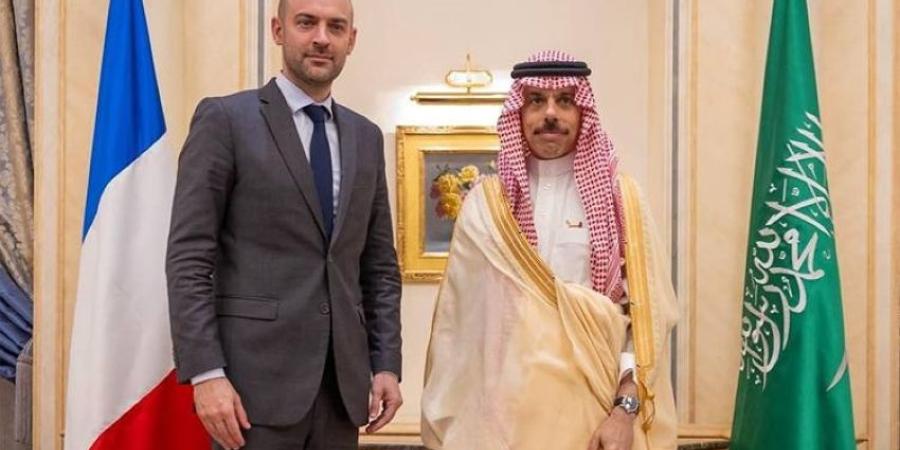 وزير الخارجية ونظيره الفرنسي يبحثان العلاقات والتطورات الإقليمية