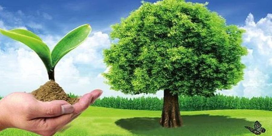 بعد إعلان الوزير استراتيجية الزراعة.. خبراء: تحقيق الأمن الغذائي يتطلب تحسين كفاءة استخدام الأرض والمياه
