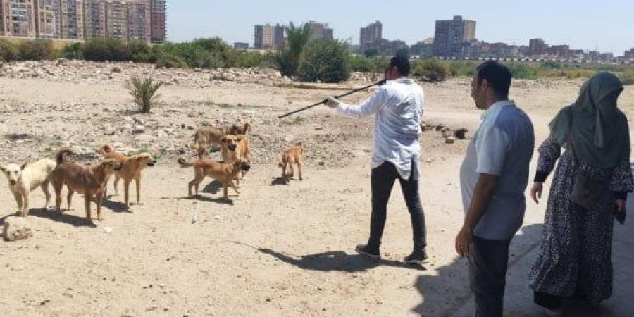 3 ضوابط وضعها القانون لحيازة الحيوانات.. تعرف عليها :اليوم السابع