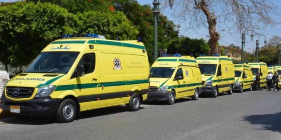 إصابة 6 أشخاص في تصادم قطار وسيارة ربع نقل بأسوان