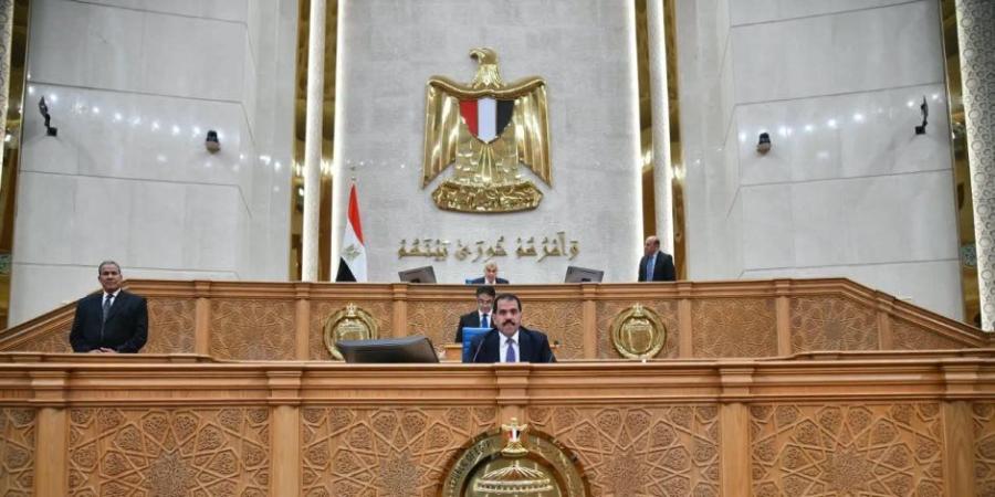 نائب بالشيوخ: مواجهة الشائعات تبدأ ببناء الوعي وتكامل دور المؤسسات