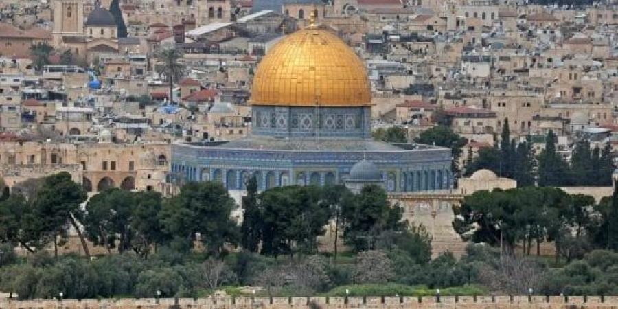 استشهاد فلسطينيين اثنين في قصف إسرائيلي بغزة وإصابات بالاختناق ببيت لحم :اليوم السابع