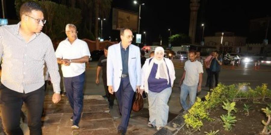 محافظ سوهاج يتابع أعمال التشجير والتجميل الجارية بحي شرق وأخميم :اليوم السابع
