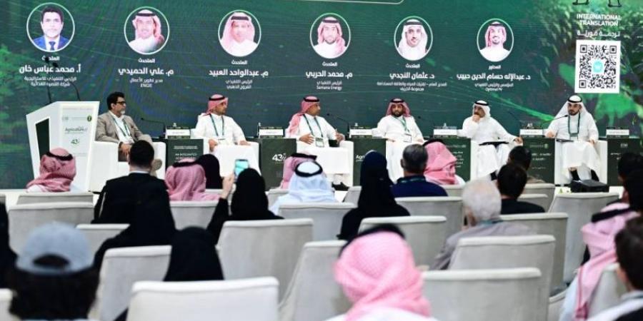 "البيئة": الطاقة الشمسية تفتح آفاقًا لخفض تكاليف الإنتاج