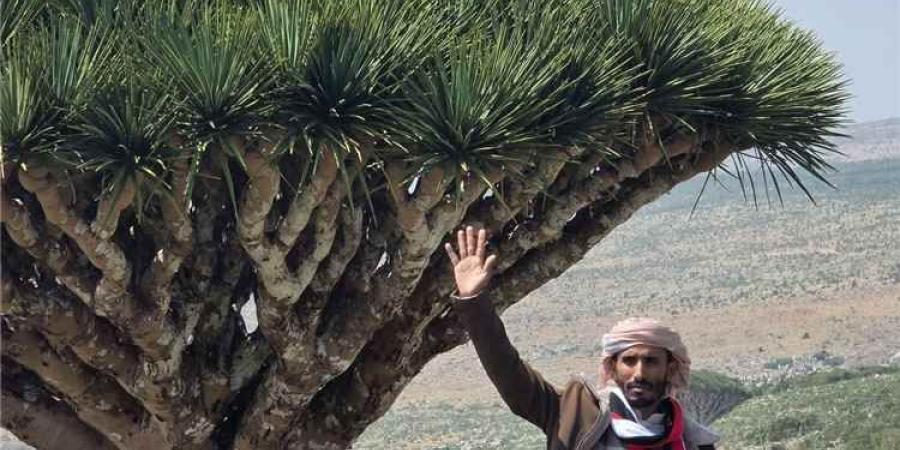 ناشط من سقطرى يوجه رسالة مؤثرة إلى تعز: علمنا أبناؤكم كيف نقرأ ونكتب وتعلموننا اليوم كيف نصمد