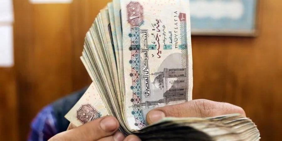 متحدث الوزراء: رفع الحد الأدنى للأجور إلى 15 ألف جنيه بحلول 2030 يخدم 4.5 مليون موظف