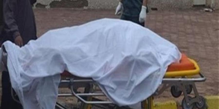 تفاصيل مقتل سائق على يد عاطل في مشاجرة بالمنوفية.. والنيابة تحقق مع المتهم :اليوم السابع